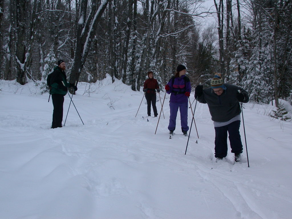 Bill, Amelia, Vittoria, and Jon crosscountry skiing near the Lucky Buck.