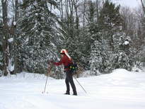 Amelia skiing back to the trailhead from the cabin.