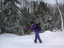 Vittoria, with Scozi in the backpack, skiing back to the trailhead from the cabin.