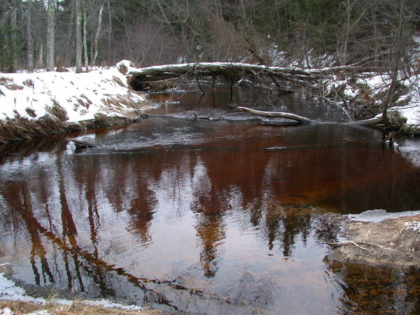 Sucker river.