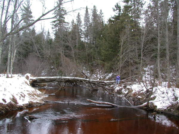 Jon sitting on a fallen tree over the Sucker river.