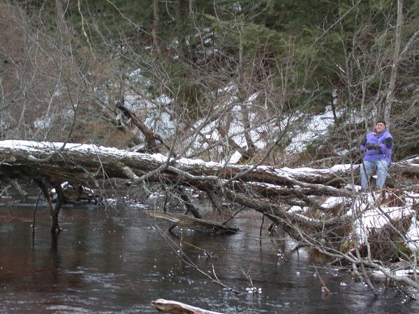 Jon sitting on a fallen tree over the Sucker river.