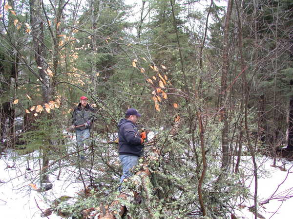Jon and Bill cutting up a fallen tree.