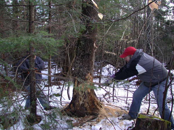 Jon and Bill cutting down the rest of the fallen tree.