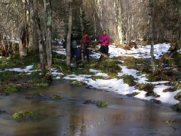 Jon, Amelia, and Katie in the swamp.