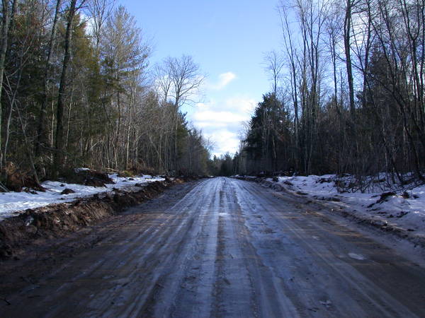 McCloud Grade after the logging.