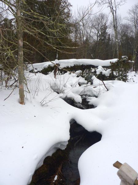 Small creek I crossed while snowshoeing.