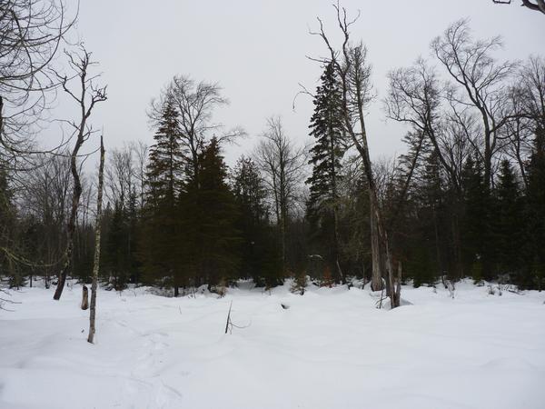 Scenery on snowshoeing trip.