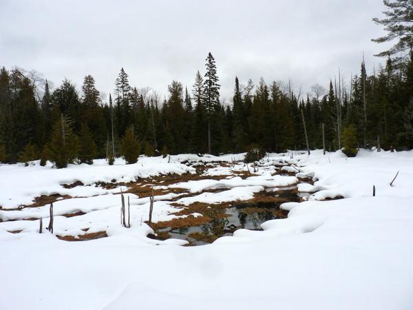 Scenery of river near the Cabin.