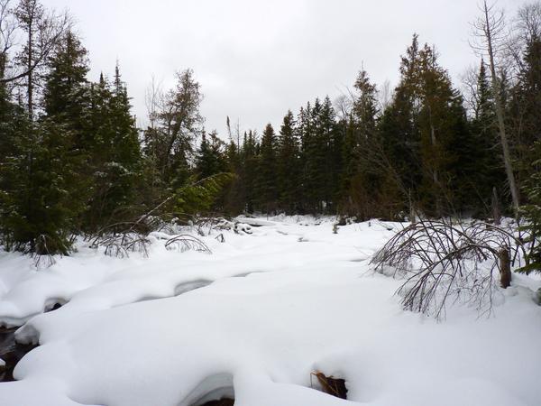 Scenery of river near the Cabin.