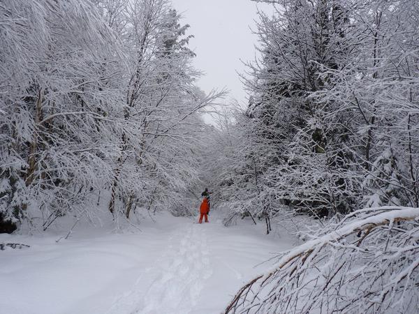 Bill and Frankie snowshoeing on the Loop.