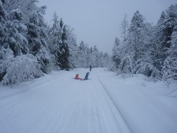 Frankie and Teddy falling as they ski on McCloud Grade.