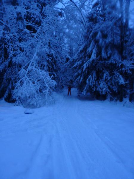 Frankie skiing down the driveway.