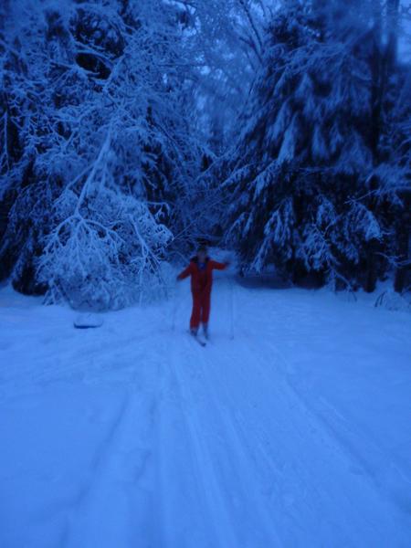 Frankie skiing down the driveway.