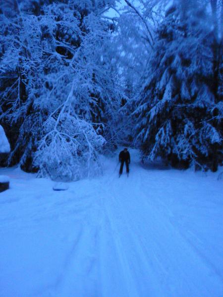 Jon skiing down the driveway.