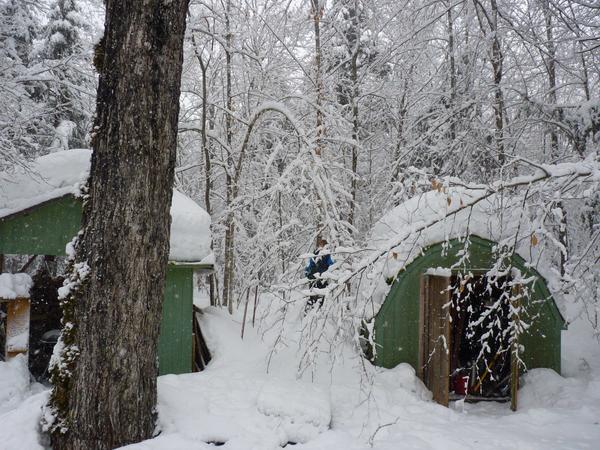 Around the Cabin as it snows.