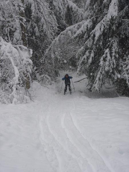 Teddy skiing down the driveway as it snows.