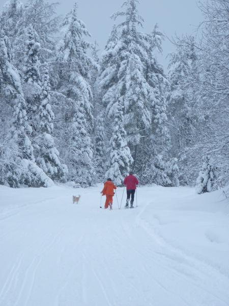 Vittoria and Frankie skiing back with Budek.