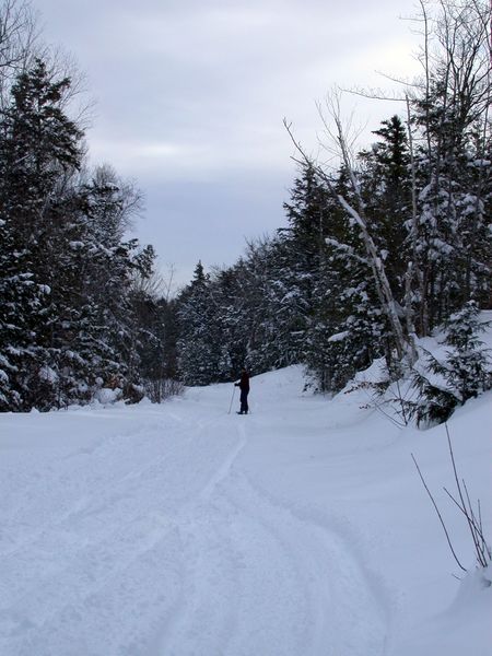 Bill snowshoeing along McCloud Grade.