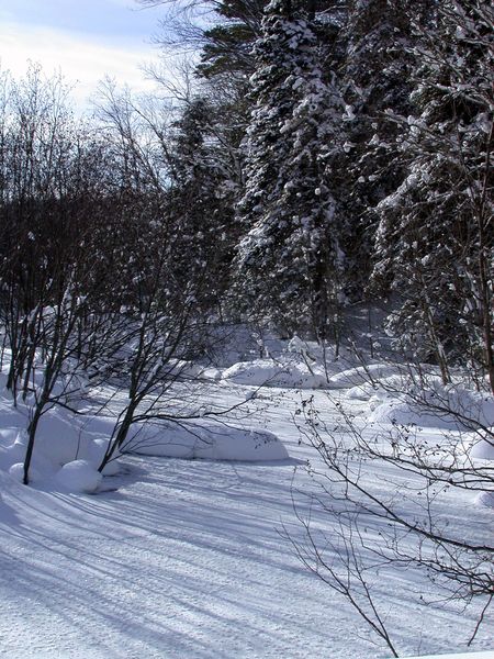 Frozen river near the Lucky Buck camp.