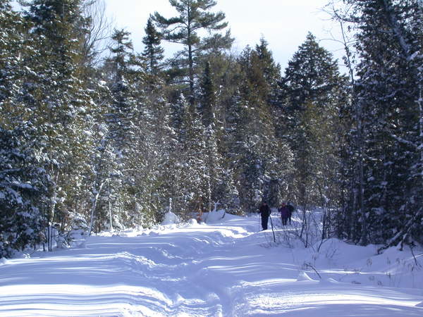 Bill, Amelia, and Jon snowshoeing back along McCloud Grade.