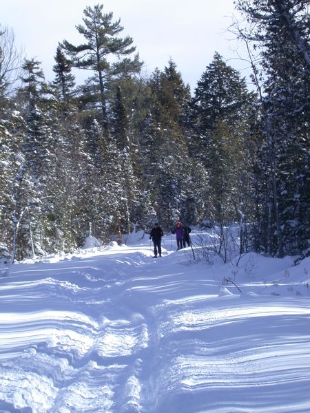 Bill, Amelia, and Jon snowshoeing back along McCloud Grade.