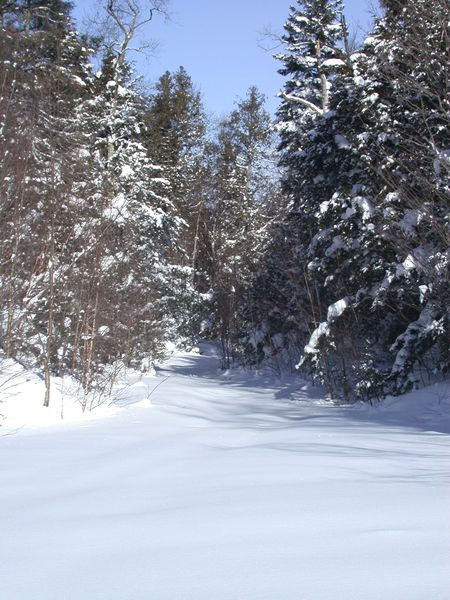 The pristine path of "the Loop".