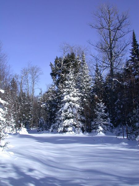 The path along "the Loop".