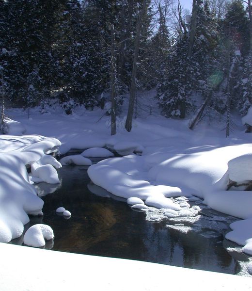 River running through the swamp behind the cabin.