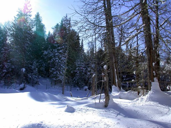 Scenery along "the Loop".