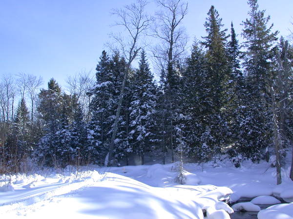 Scenery along "the Loop".