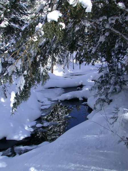 River next to the cabin.