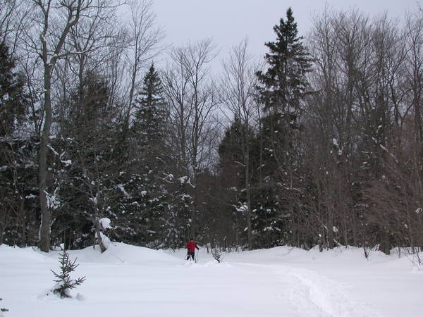 Jon skiing along "the Loop".