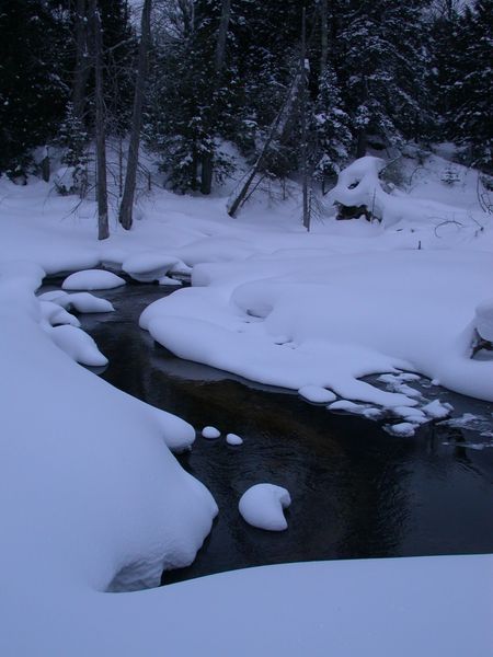 River behind the cabin.