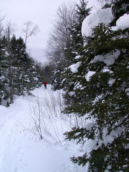 Jon skiiing along "the Loop".