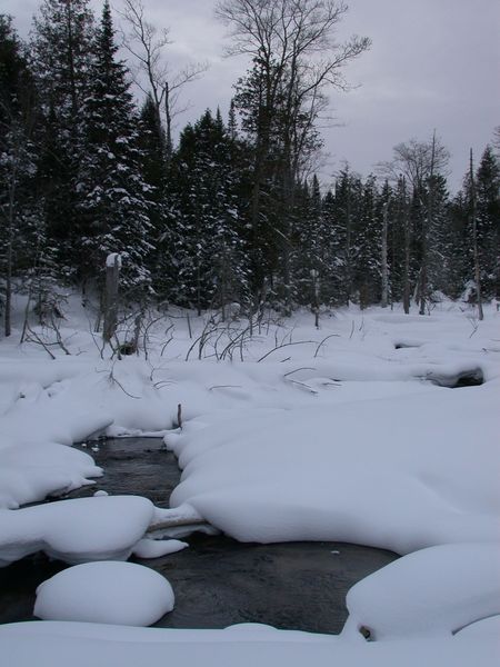 River behind the cabin.