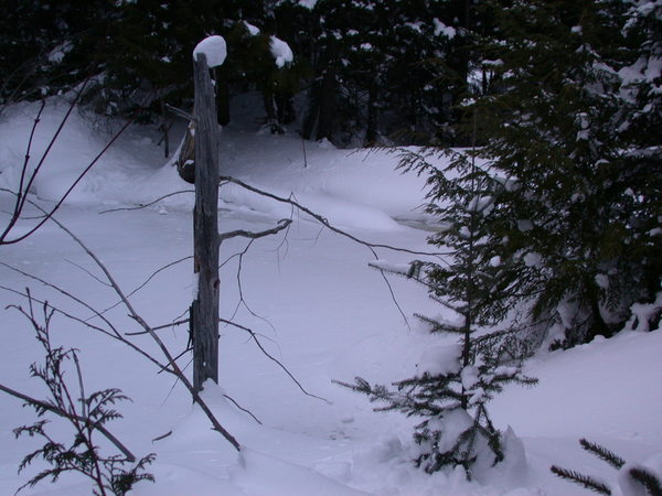 Frozen beaver pond next to the cabin.