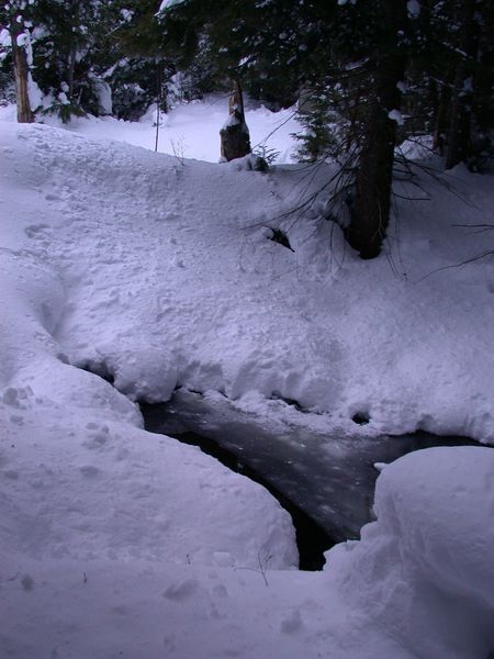 The river downstream of the beaver dam near the cabin.