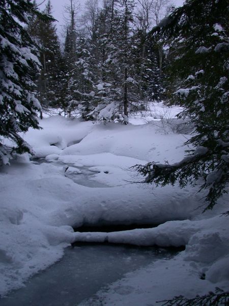 The river next to the cabin.