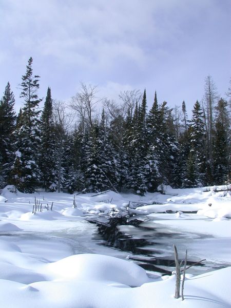 The river behind the cabin.