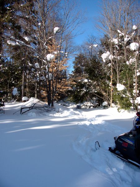 Driveway into the Cabin.