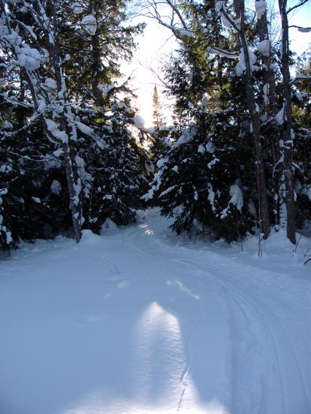 Driveway out from the Cabin.