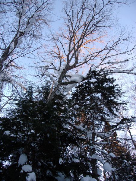 Scenery near the Cabin.