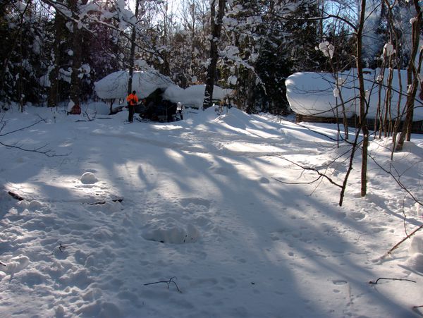 Distant shot looking toward the woodshed with Ed near the center.