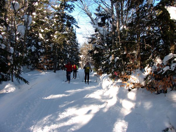 Paul, Doug, and Bill cross country skiing.