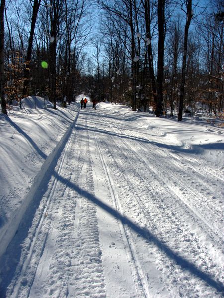 Skiing along Old Seney.