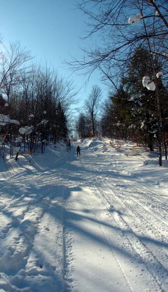 Doug skiing down the hill along Old Seney.