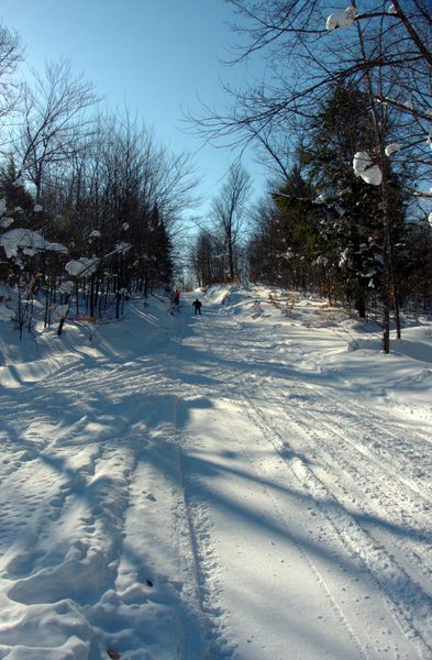 Jon skiing down the hill along Old Seney.