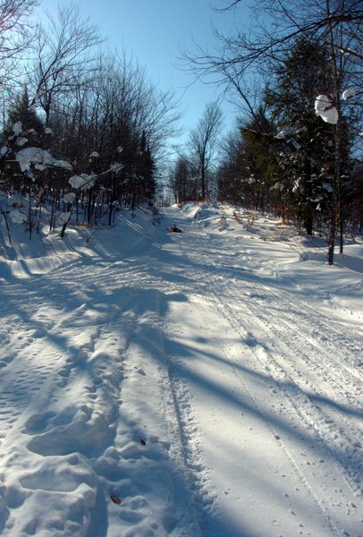 Ed still trying to make his way down the hill along Old Seney.