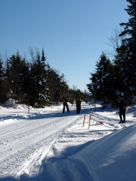 Skiing back along McCloud Grade.